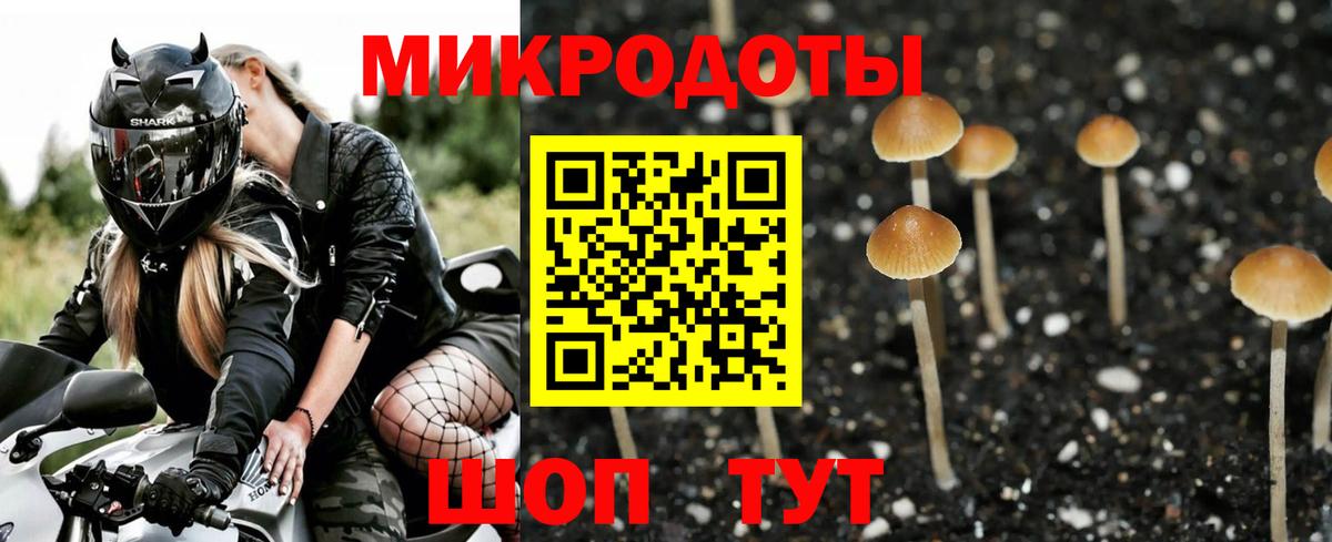 Псилоцибиновые грибы ЛСД Гатчина